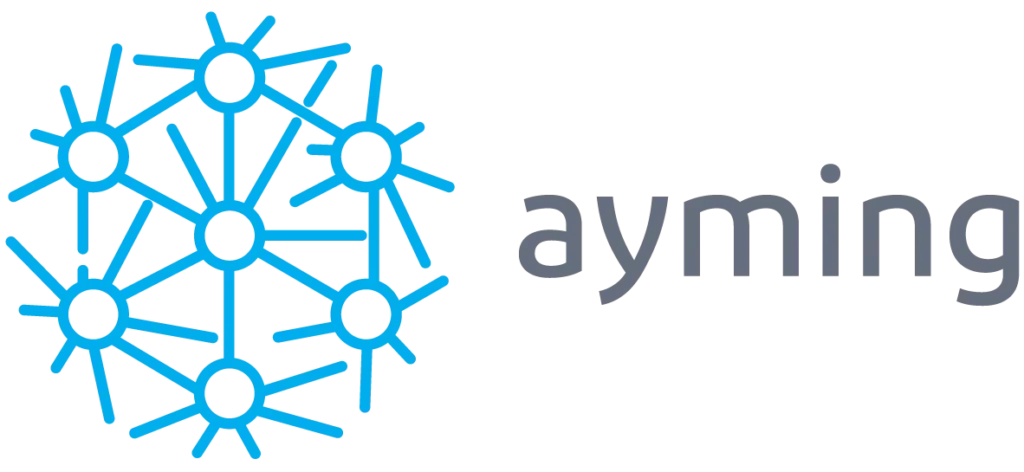 AYMING ITALIA SRL SB